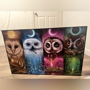 Owl Painting.